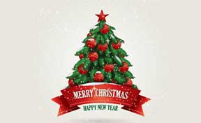 MERRY CHRISTMAS &amp; HAPPY NEW YEAR !